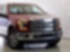 1FTEW1EF6GFD06389-2016-ford-f-150-1