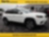 1C4PJMDX9KD423245-2019-jeep-cherokee