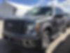 1FTFW1CT0BKD74751-2011-ford-f-150-0