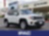 ZACNJABB8LPL86394-2020-jeep-renegade