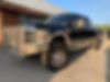 1FTSW2BR6AEA04394-2010-ford-f-250-0