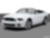 1ZVBP8FF9E5204611-2014-ford-mustang-0