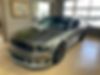 1ZVHT82H795135274-2009-ford-mustang-0
