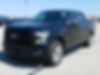 1FTEW1CPXHKD52974-2017-ford-f-150