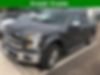 1FTEW1EP5FFA56764-2015-ford-f-150-0