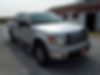 1FTFW1EFXBFB91745-2011-ford-f-150-0