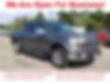 1FTEW1EP3FKE00051-2015-ford-f-150-0