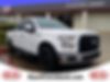 1FTEW1CP8HFB11830-2017-ford-f-150