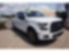 1FTEW1EP9HFC41418-2017-ford-f-150-0