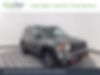 ZACNJBC15KPK12843-2019-jeep-renegade-0