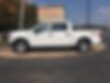 1FTEW1EP9GFC96031-2016-ford-f-150-1