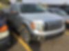 1FTFW1E82AFC89328-2010-ford-f-150-1