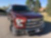 1FTEW1EF5GFC51398-2016-ford-f-150-0