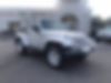 1J4AA5D1XAL124773-2010-jeep-wrangler-0