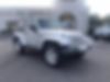 1J4AA5D1XAL124773-2010-jeep-wrangler-1