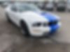 1ZVHT82H085131789-2008-ford-mustang-1