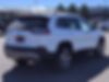 1C4PJMDX5MD100409-2021-jeep-cherokee-1