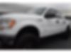 1FTFW1ET2DKF81335-2013-ford-f-150-0
