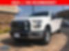 1FTEW1EP9GFC96031-2016-ford-f-150-0