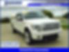 1FTFW1ET7DFE05776-2013-ford-f-150-0