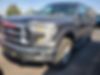 1FTEW1EFXGFC48741-2016-ford-f-150-0