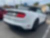 1FATP8UH7K5169886-2019-ford-mustang-2