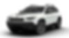 1C4PJMBX7MD125010-2021-jeep-cherokee-0