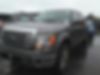 1FTFW1ET7DKG17763-2013-ford-f-150-0