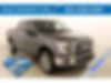 1FTEW1EPXHFC44862-2017-ford-f-150-0