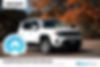 ZACNJBBB0LPL80014-2020-jeep-renegade