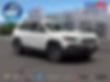 1C4PJMBX1LD621208-2020-jeep-cherokee-0