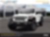 1C4HJXFN5MW527109-2021-jeep-wrangler-2