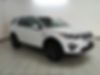 SALCR2BGXHH719013-2017-land-rover-discovery-sport-2