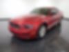 1ZVBP8AM7D5265704-2013-ford-mustang-0