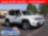 ZACNJBD14LPL89173-2020-jeep-renegade