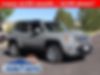 ZACNJBD16LPL88218-2020-jeep-renegade