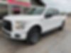 1FTEW1EP4GFD53509-2016-ford-f-150-0