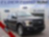 1FTEW1EP6JFE15502-2018-ford-f-150-0