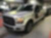 1FTEW1EP8HFC69209-2017-ford-f-150-0