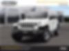 1C4HJXEG8MW510467-2021-jeep-wrangler-unlimited-2