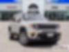 ZACNJABBXLPL56054-2020-jeep-renegade-0