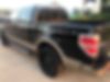 1FTFW1CT0DFD03061-2013-ford-f-150-2