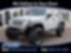 1J4BA3H10AL160605-2010-jeep-wrangler-0