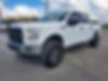1FTEW1EP4HKE19095-2017-ford-f-150-0
