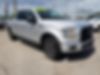 1FTEW1EP9HFA24113-2017-ford-f-150-0