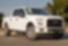 1FTEW1EP2HKD51511-2017-ford-f-150-2