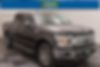 1FTEW1E46LKF46056-2020-ford-f-150-0