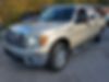1FTFW1E82AFC46995-2010-ford-f-150-0