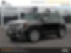 ZACNJBD15LPL93894-2020-jeep-renegade-0