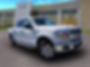 1FTEW1E49LKF14041-2020-ford-f-150